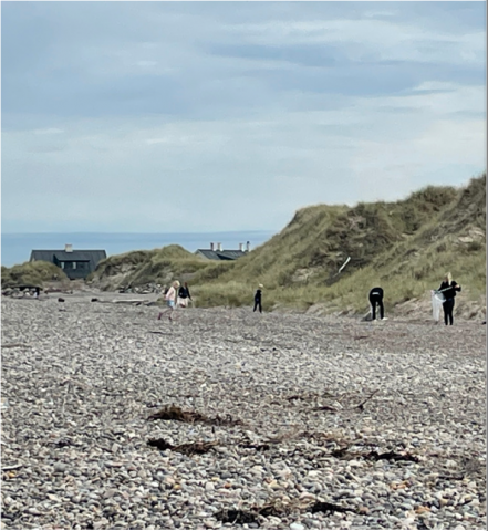 Stranden renses for plast m.m.
